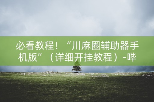 必看教程！“川麻圈辅助器手机版”（详细开挂教程）-哔哩哔哩
