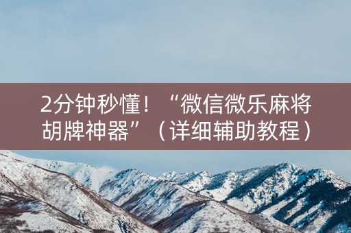 2分钟秒懂！“微信微乐麻将胡牌神器”（详细辅助教程）-哔哩哔哩