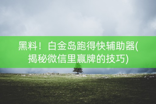 黑料！白金岛跑得快辅助器(揭秘微信里赢牌的技巧)