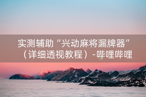 实测辅助“兴动麻将漏牌器”（详细透视教程）-哔哩哔哩