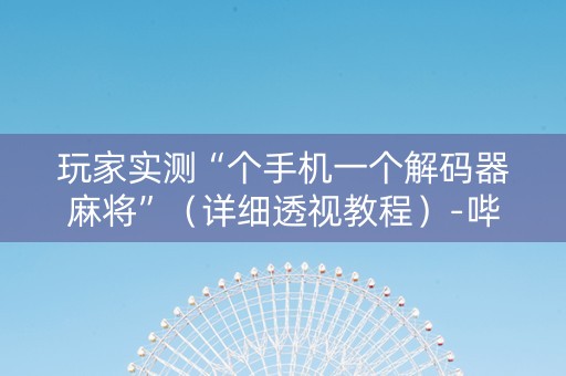 玩家实测“个手机一个解码器麻将”（详细透视教程）-哔哩哔哩
