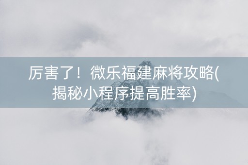 厉害了！微乐福建麻将攻略(揭秘小程序提高胜率)