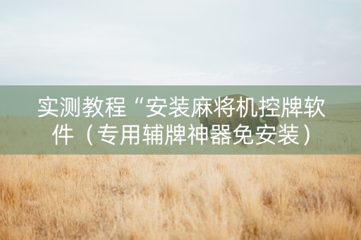 实测教程“安装麻将机控牌软件（专用辅牌神器免安装）