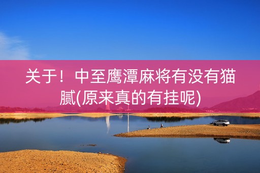 关于！中至鹰潭麻将有没有猫腻(原来真的有挂呢)
