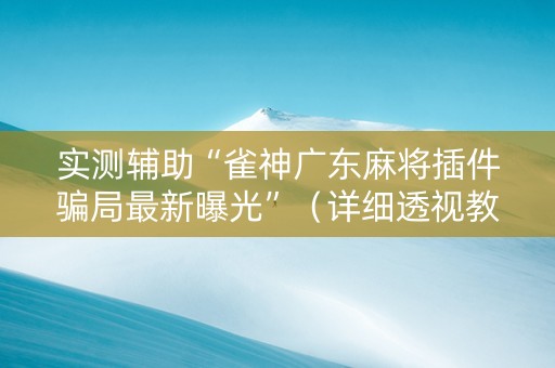 实测辅助“雀神广东麻将插件骗局最新曝光”（详细透视教程）-哔哩哔哩