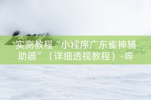 实测教程“小程序广东雀神辅助器”（详细透视教程）-哔哩哔哩