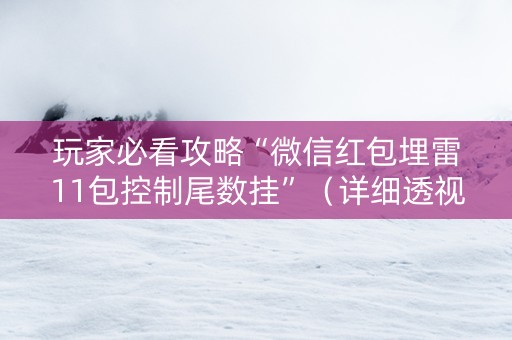 玩家必看攻略“微信红包埋雷11包控制尾数挂”（详细透视教程）-哔哩哔哩