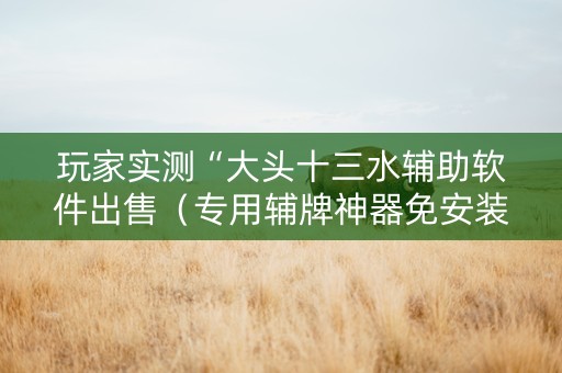 玩家实测“大头十三水辅助软件出售（专用辅牌神器免安装）