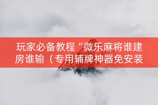 玩家必备教程“微乐麻将谁建房谁输（专用辅牌神器免安装）
