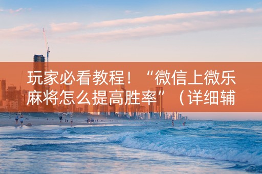 玩家必看教程！“微信上微乐麻将怎么提高胜率”（详细辅助教程）-哔哩哔哩
