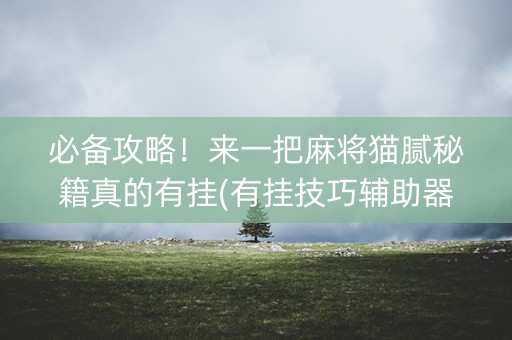 必备攻略！来一把麻将猫腻秘籍真的有挂(有挂技巧辅助器)