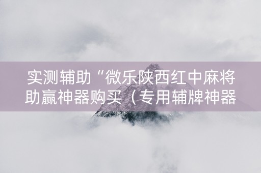 实测辅助“微乐陕西红中麻将助赢神器购买（专用辅牌神器免安装）