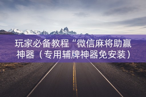 玩家必备教程“微信麻将助赢神器（专用辅牌神器免安装）