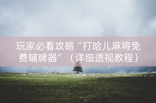 玩家必看攻略“打哈儿麻将免费辅牌器”（详细透视教程）-哔哩哔哩