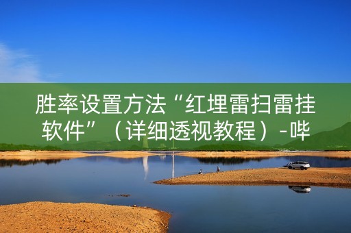 胜率设置方法“红埋雷扫雷挂软件”（详细透视教程）-哔哩哔哩