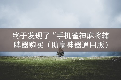 终于发现了“手机雀神麻将辅牌器购买（助赢神器通用版）