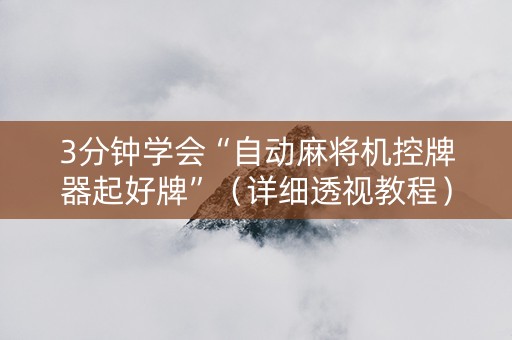 3分钟学会“自动麻将机控牌器起好牌”（详细透视教程）-哔哩哔哩