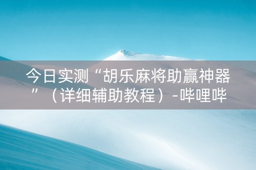 今日实测“胡乐麻将助赢神器”（详细辅助教程）-哔哩哔哩