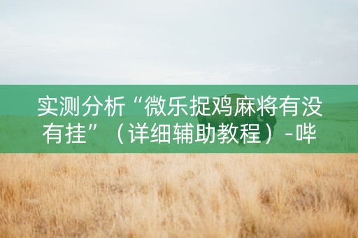 实测分析“微乐捉鸡麻将有没有挂”（详细辅助教程）-哔哩哔哩