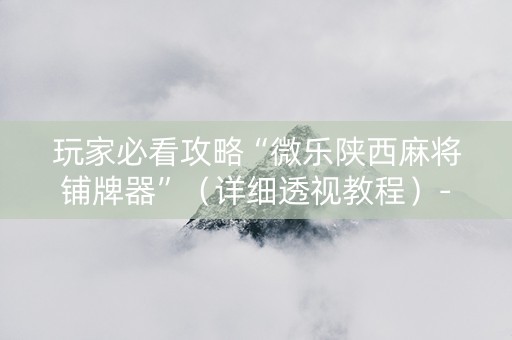 玩家必看攻略“微乐陕西麻将铺牌器”（详细透视教程）-哔哩哔哩