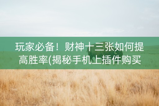 玩家必备！财神十三张如何提高胜率(揭秘手机上插件购买)