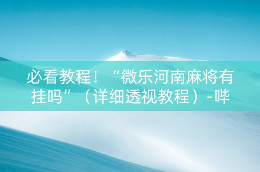 必看教程！“微乐河南麻将有挂吗”（详细透视教程）-哔哩哔哩