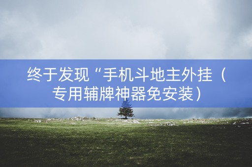 终于发现“手机斗地主外挂（专用辅牌神器免安装）