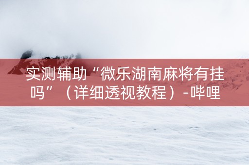 实测辅助“微乐湖南麻将有挂吗”（详细透视教程）-哔哩哔哩