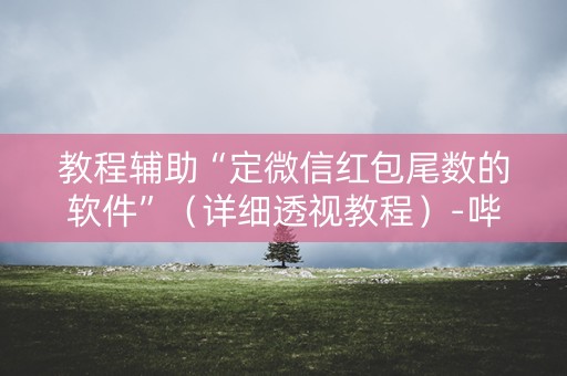 教程辅助“定微信红包尾数的软件”（详细透视教程）-哔哩哔哩