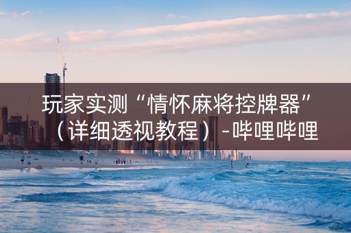 玩家实测“情怀麻将控牌器”（详细透视教程）-哔哩哔哩