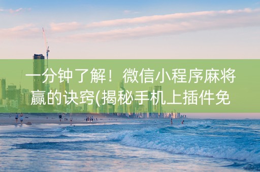 一分钟了解！微信小程序麻将赢的诀窍(揭秘手机上插件免费)