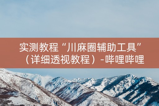 实测教程“川麻圈辅助工具”（详细透视教程）-哔哩哔哩