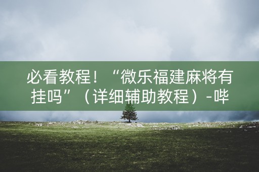 必看教程！“微乐福建麻将有挂吗”（详细辅助教程）-哔哩哔哩