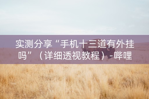 实测分享“手机十三道有外挂吗”（详细透视教程）-哔哩哔哩