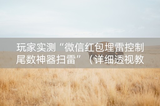 玩家实测“微信红包埋雷控制尾数神器扫雷”（详细透视教程）-哔哩哔哩