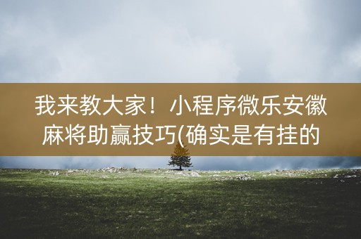 我来教大家！小程序微乐安徽麻将助赢技巧(确实是有挂的)