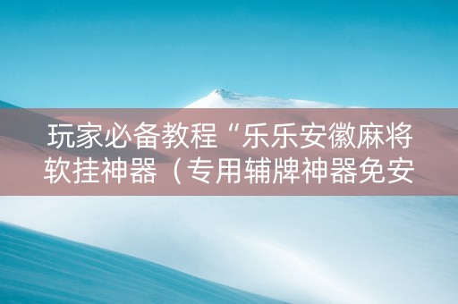 玩家必备教程“乐乐安徽麻将软挂神器（专用辅牌神器免安装）