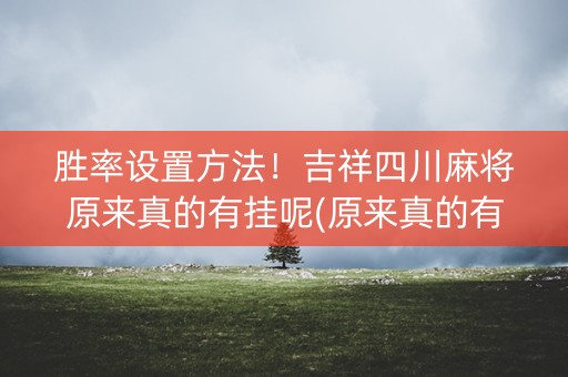 胜率设置方法！吉祥四川麻将原来真的有挂呢(原来真的有挂)