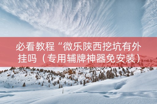 必看教程“微乐陕西挖坑有外挂吗（专用辅牌神器免安装）