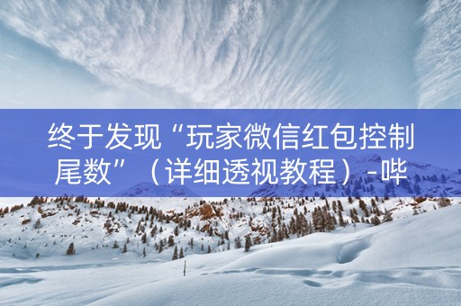 终于发现“玩家微信红包控制尾数”（详细透视教程）-哔哩哔哩