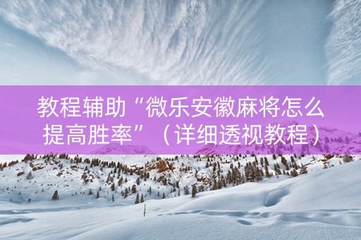 教程辅助“微乐安徽麻将怎么提高胜率”（详细透视教程）-哔哩哔哩