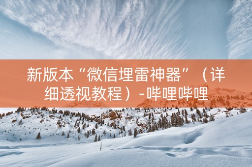 新版本“微信埋雷神器”（详细透视教程）-哔哩哔哩