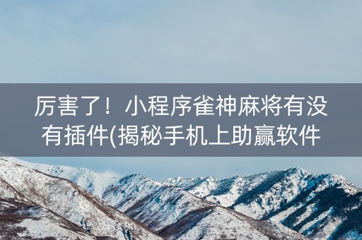 厉害了！小程序雀神麻将有没有插件(揭秘手机上助赢软件)
