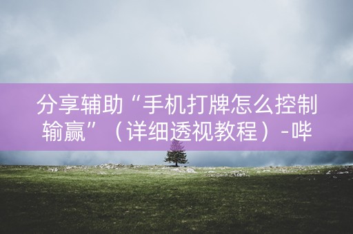 分享辅助“手机打牌怎么控制输赢”（详细透视教程）-哔哩哔哩