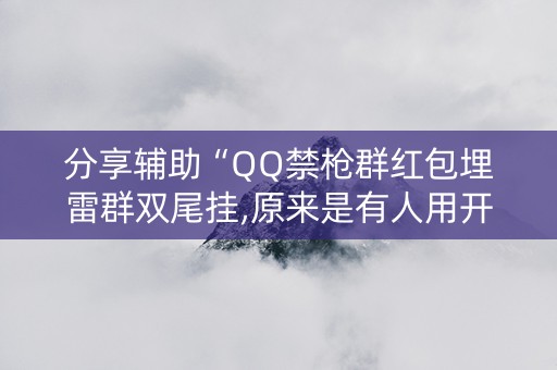 分享辅助“QQ禁枪群红包埋雷群双尾挂,原来是有人用开挂”（详细透视教程）-哔哩哔哩