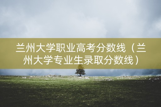 兰州大学职业高考分数线（兰州大学专业生录取分数线）