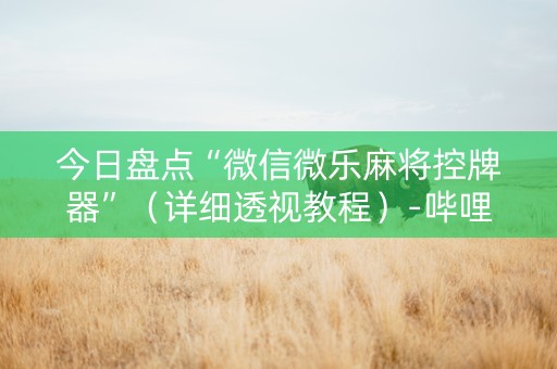 今日盘点“微信微乐麻将控牌器”（详细透视教程）-哔哩哔哩
