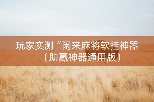 玩家实测“闲来麻将软挂神器（助赢神器通用版）