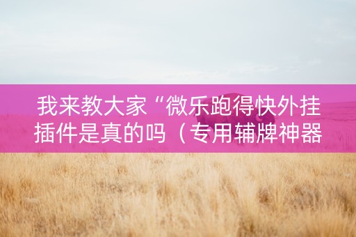 我来教大家“微乐跑得快外挂插件是真的吗（专用辅牌神器免安装）