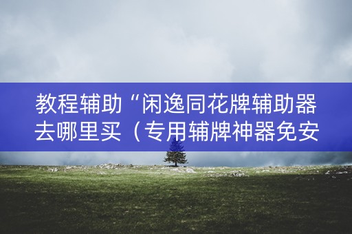 教程辅助“闲逸同花牌辅助器去哪里买（专用辅牌神器免安装）